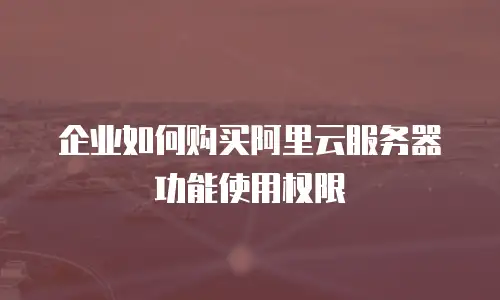 企业如何购买阿里云服务器功能使用权限