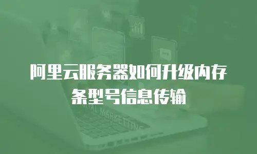 阿里云服务器如何升级内存条型号信息传输