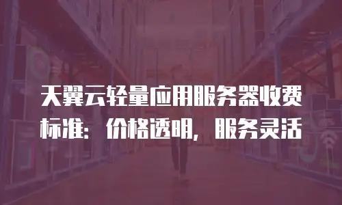 天翼云轻量应用服务器收费标准：价格透明，服务灵活