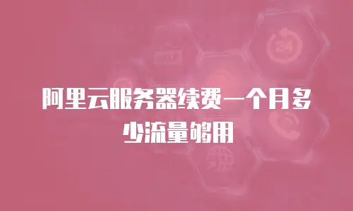阿里云服务器续费一个月多少流量够用