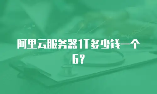 阿里云服务器1T多少钱一个G？