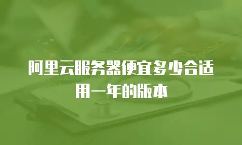 阿里云服务器便宜多少合适用一年的版本