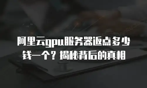 阿里云gpu服务器返点多少钱一个？揭秘背后的真相