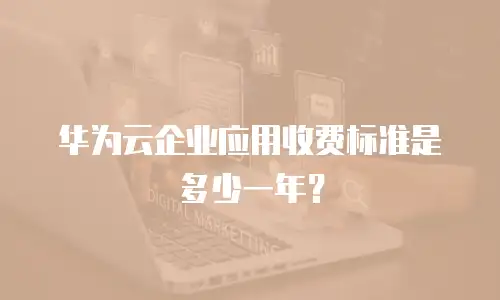 华为云企业应用收费标准是多少一年？