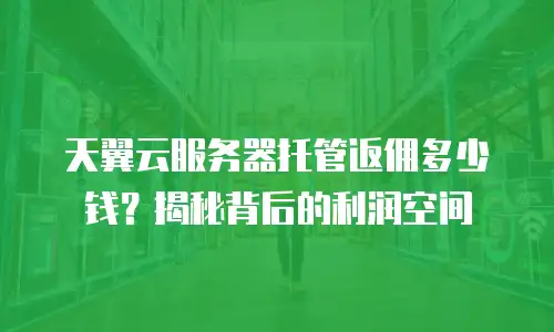 天翼云服务器托管返佣多少钱？揭秘背后的利润空间