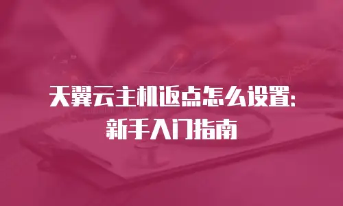 天翼云主机返点怎么设置：新手入门指南