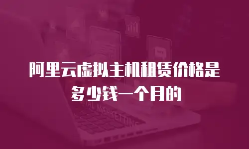 阿里云虚拟主机租赁价格是多少钱一个月的