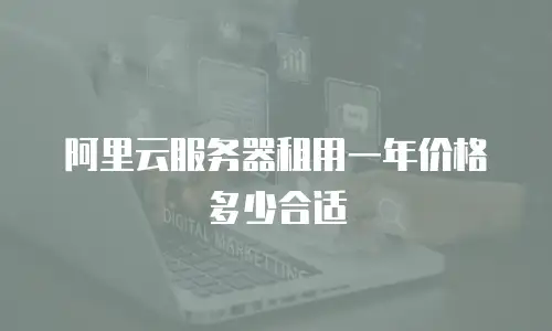 阿里云服务器租用一年价格多少合适