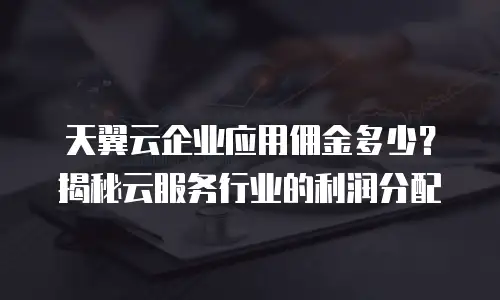 天翼云企业应用佣金多少？揭秘云服务行业的利润分配