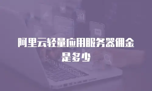 阿里云轻量应用服务器佣金是多少