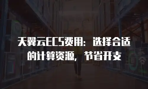 天翼云ECS费用：选择合适的计算资源，节省开支