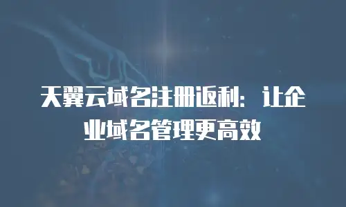 天翼云域名注册返利：让企业域名管理更高效
