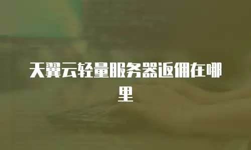 天翼云轻量服务器返佣在哪里