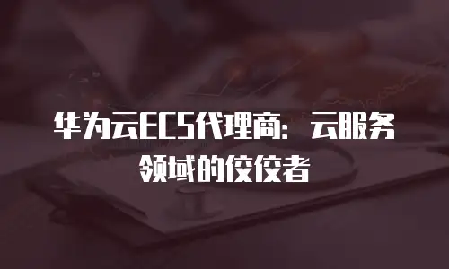 华为云ECS代理商：云服务领域的佼佼者