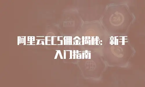 阿里云ECS佣金揭秘：新手入门指南