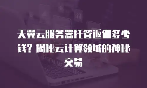 天翼云服务器托管返佣多少钱？揭秘云计算领域的神秘交易