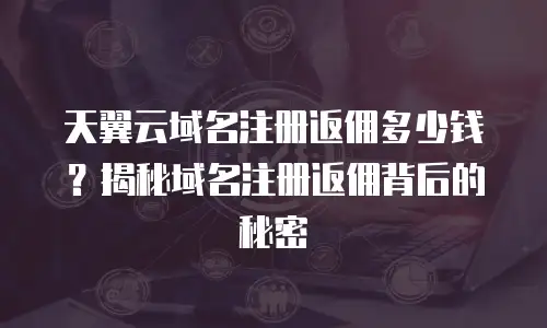 天翼云域名注册返佣多少钱？揭秘域名注册返佣背后的秘密