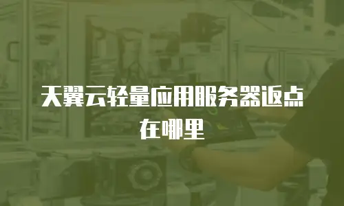 天翼云轻量应用服务器返点在哪里
