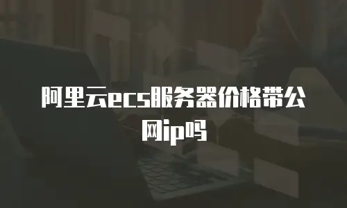 阿里云ecs服务器价格带公网ip吗
