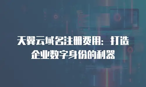 天翼云域名注册费用：打造企业数字身份的利器