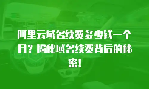 阿里云域名续费多少钱一个月？揭秘域名续费背后的秘密！