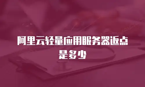 阿里云轻量应用服务器返点是多少