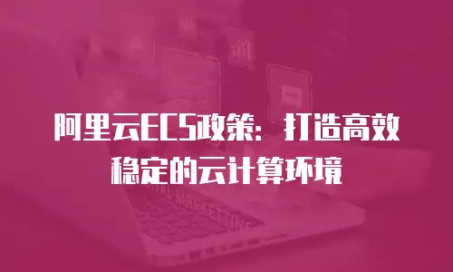 阿里云ECS政策：打造高效稳定的云计算环境