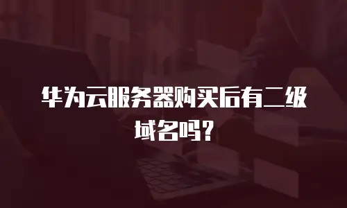 华为云服务器购买后有二级域名吗？