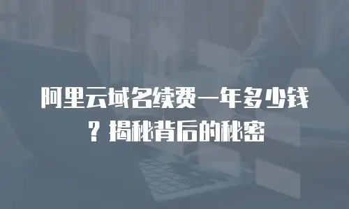 阿里云域名续费一年多少钱？揭秘背后的秘密