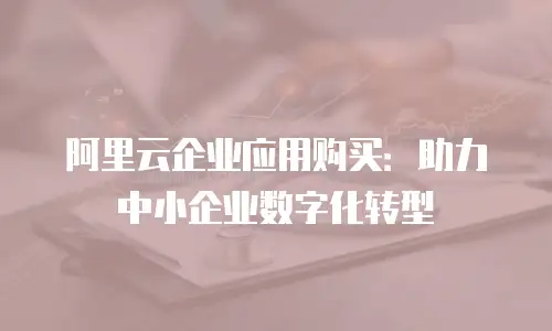 阿里云企业应用购买：助力中小企业数字化转型