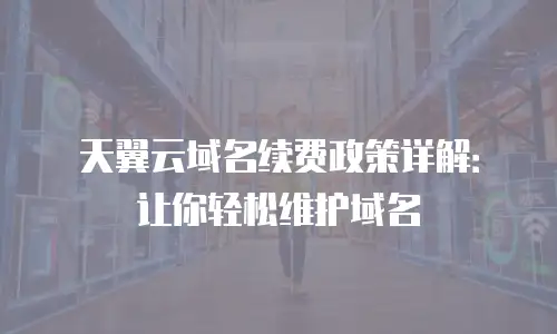 天翼云域名续费政策详解：让你轻松维护域名