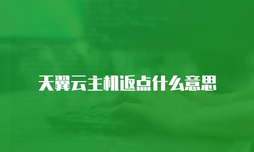 天翼云主机返点什么意思