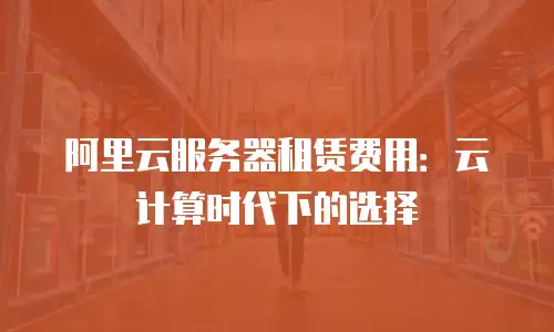 阿里云服务器租赁费用：云计算时代下的选择