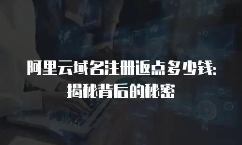 阿里云域名注册返点多少钱：揭秘背后的秘密