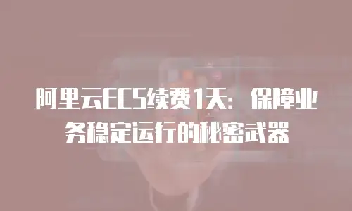 阿里云ECS续费1天：保障业务稳定运行的秘密武器