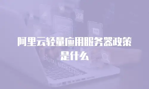 阿里云轻量应用服务器政策是什么