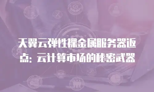 天翼云弹性裸金属服务器返点: 云计算市场的秘密武器