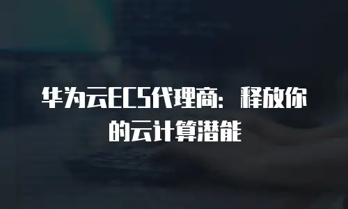 华为云ECS代理商：释放你的云计算潜能