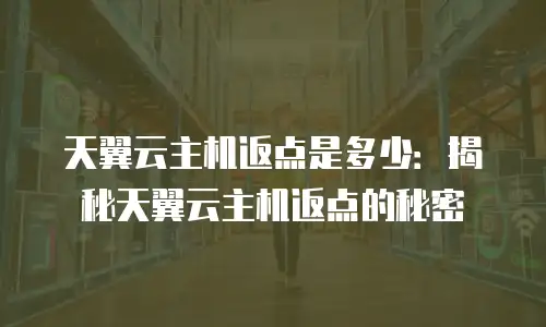天翼云主机返点是多少：揭秘天翼云主机返点的秘密