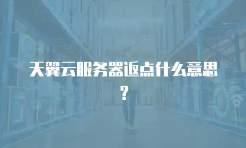 天翼云服务器返点什么意思？