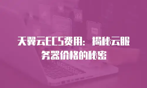 天翼云ECS费用：揭秘云服务器价格的秘密