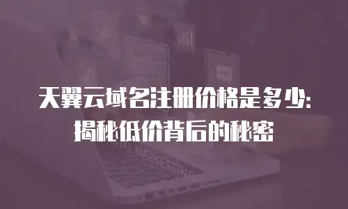 天翼云域名注册价格是多少：揭秘低价背后的秘密