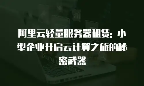 阿里云轻量服务器租赁: 小型企业开启云计算之旅的秘密武器