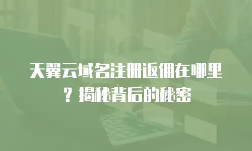 天翼云域名注册返佣在哪里？揭秘背后的秘密