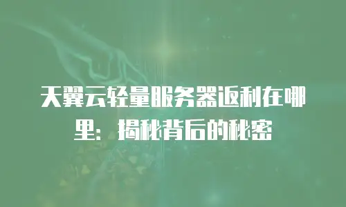 天翼云轻量服务器返利在哪里：揭秘背后的秘密