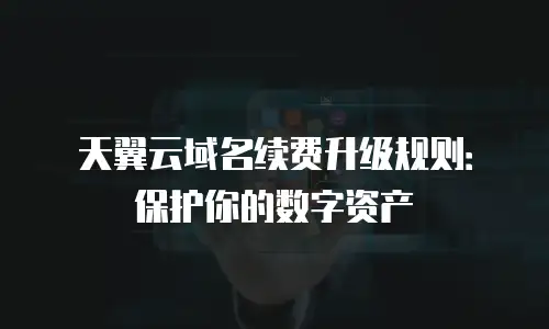 天翼云域名续费升级规则：保护你的数字资产