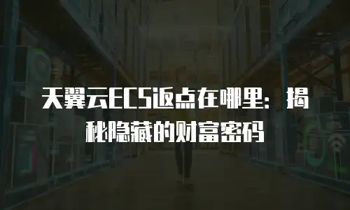 天翼云ECS返点在哪里：揭秘隐藏的财富密码