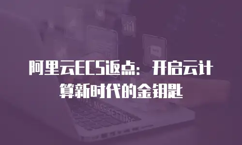 阿里云ECS返点：开启云计算新时代的金钥匙