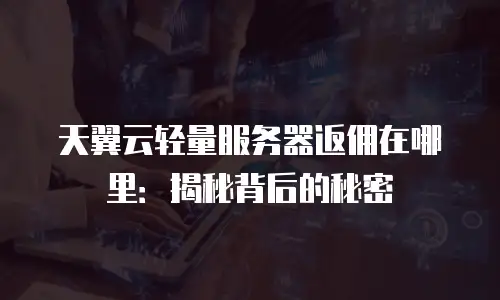 天翼云轻量服务器返佣在哪里：揭秘背后的秘密