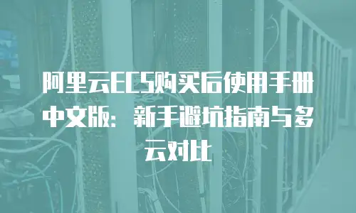 阿里云ECS购买后使用手册中文版：新手避坑指南与多云对比